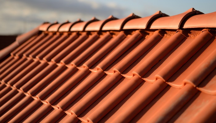 Roof Cleaning & Sealing